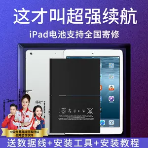 ipad电池ipadair2 - Top 500件ipad电池ipadair2 - 2024年2月更新- Taobao