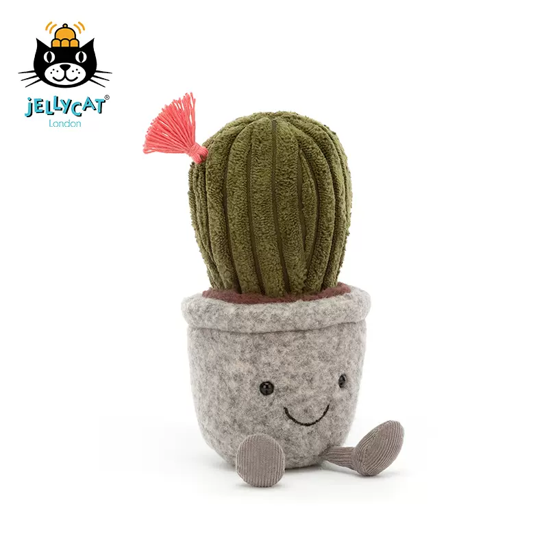 仙人掌猫尾巴 新人首单立减十元 21年11月 淘宝海外