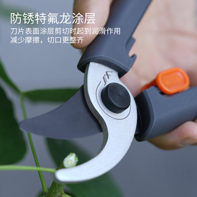 Jimmy Home Pruning Shearing Gardening Scissors Cutting Branch Scissors Gardening Pruning Fruit Tree Pruning Flower Art Pruning Flower Scissors
