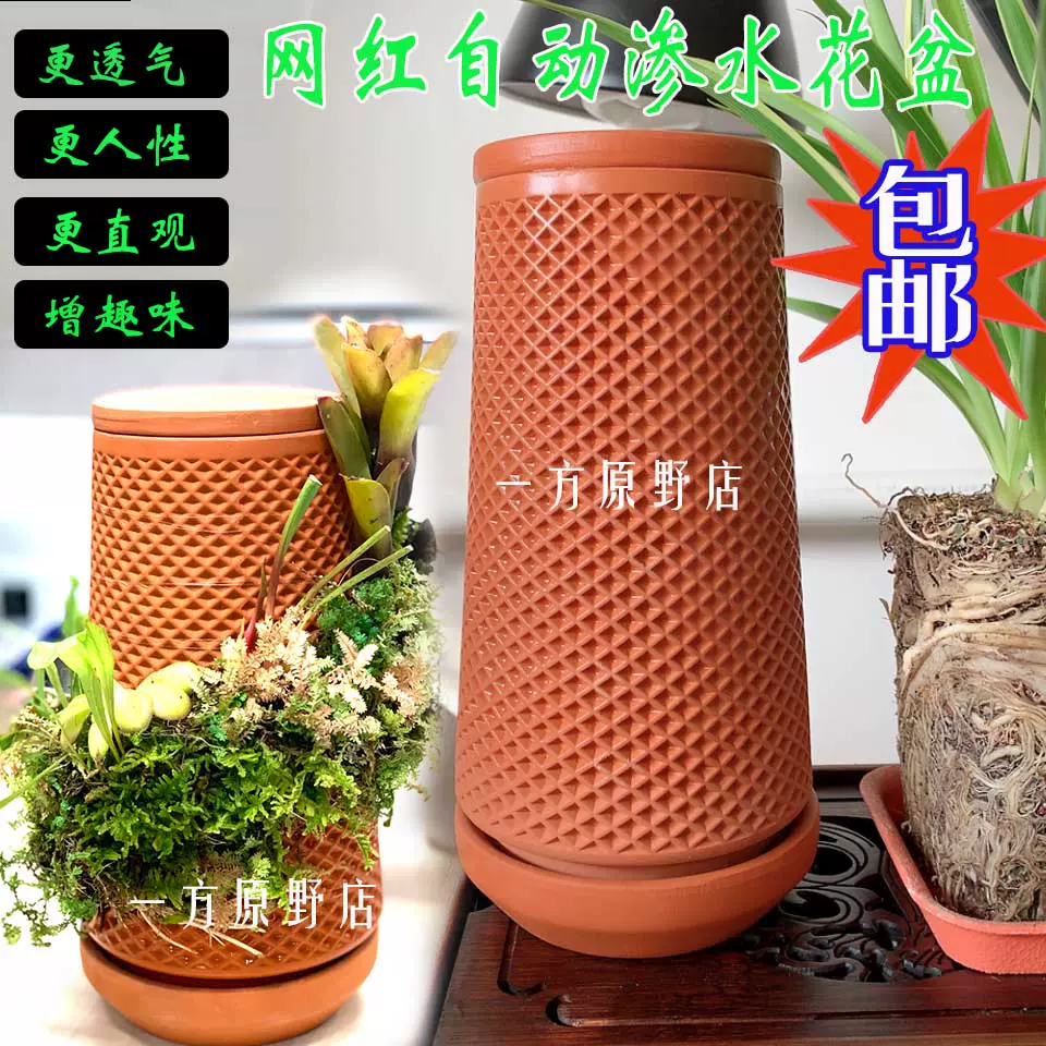 陶里瓶植物种植懒人自动浇水陶瓷花盆自动渗水陶