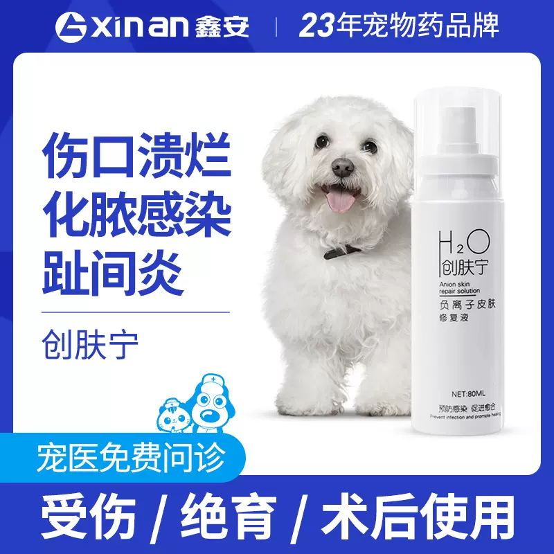 鑫安狗狗猫咪趾间炎脚趾炎伤口创伤出血绝育疼痛伤口