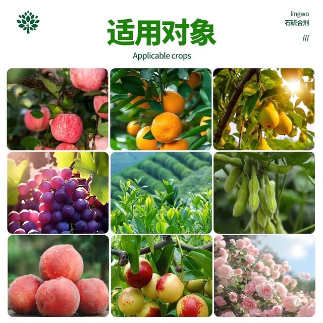 Dilution-free fruit tree whitening agent lime sulfur mixture gardening courtyard trees universal clear garden pesticide insect protection antifreeze