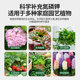 Plant nutrition tablets universal family horticultural mitigation fertilizer fertilizer fertilizer Furnishing potted universal flowers and vegetables and fertilizer
