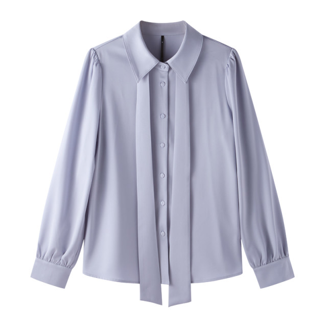 
CHICBLISS Satin Blue Shirt Women's Long Sleeve Temperament Commuter Bow Streamer Shirt Women's Teacher Interview