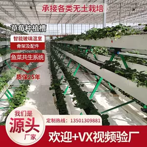 鱼菜共生种植管 新人首单立减十元 22年7月 淘宝海外