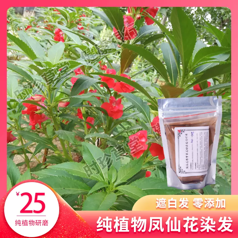 指甲草染白頭髮海娜粉鳳仙花純植物天然正品護髮自己