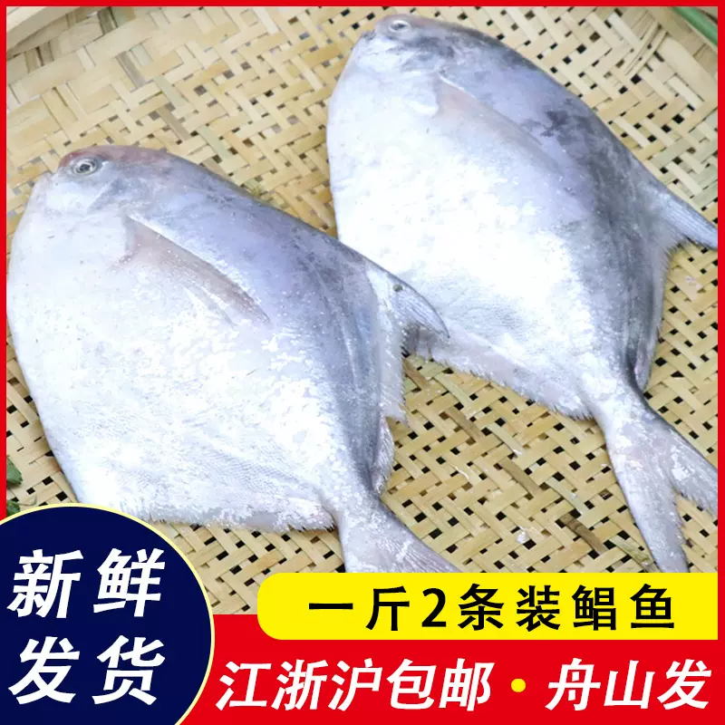 銀平魚-新人首單立減十元-2021年11月淘寶海外