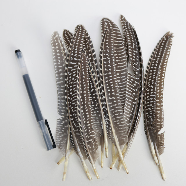 Small Feather Kindergarten Handmade Jewelry Accessories Pheasant Feather Diy Material Bird Feather Decorative Specimen Production
