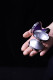 
Yo-Yu Void Hong Kong C3 Vanitas 7075 phase1 Chen Lihao Signature Ball Professional Competition