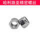 304/316/Galvanized UNC/UNF British/US nylon self-locking nut with nylon ring anti-loosening locking nut