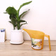 Imported Japanese long mouth watering kettle pointed mouth watering kettle household small gardening pot sprinkler flower and vegetable watering utensils
