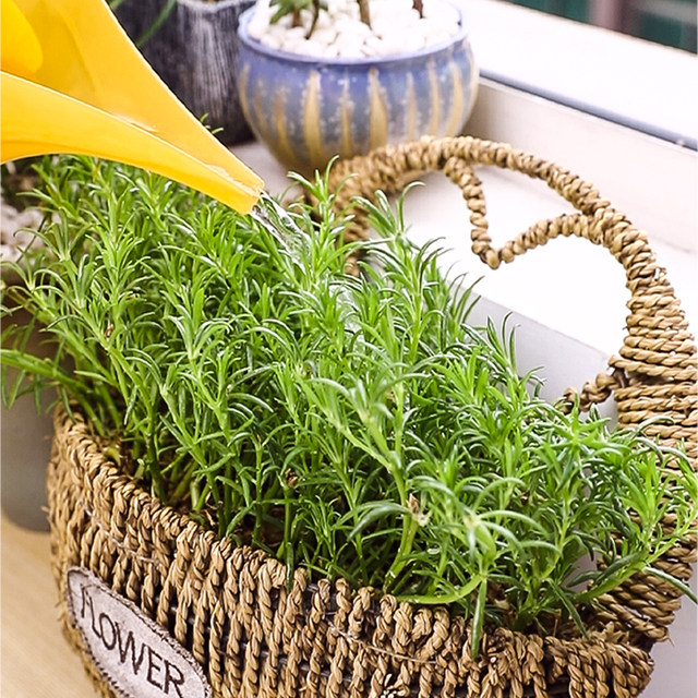 Imported Japanese long mouth watering kettle pointed mouth watering kettle household small gardening pot sprinkler flower and vegetable watering utensils
