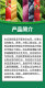 Hulian Aimeile 70% imidacloprid cabbage aphid insecticide imidacloprid water dispersible granule pesticide