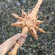 Wooden Sword Weapon God Seal Throne Light Goddess Yong Tun Bright Divine Sword Wooden Anime Sword Private Customization
