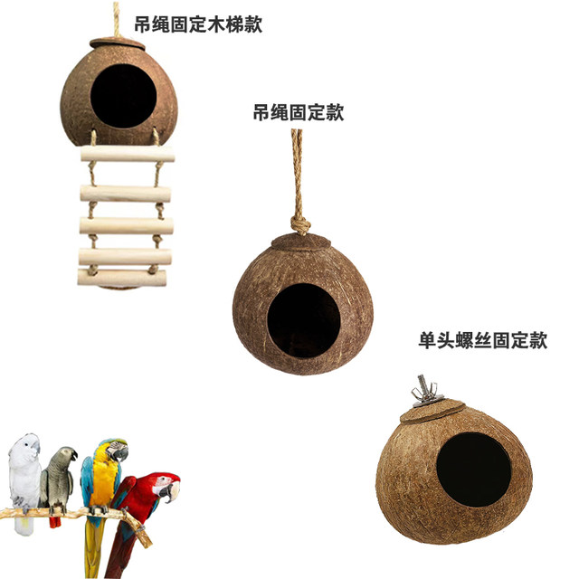 Parrot coconut shell bird's nest peony munia tiger skin bird's nest ...