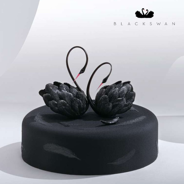 Black Swan Birthday Cake Intra-city Delivery Beijing, Shanghai, Tianjin, Chengdu, Shenyang, Harbin Chocolate