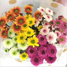 Flowers bouquet Daisies Yunnan Kunming base direct delivery of birthday gifts 520 Valentine's Day in the same city