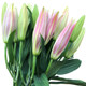 Flower bouquet Yunnan Kunming base straight hair perfume lily express same city rose Valentine's Day Teacher's Day gift