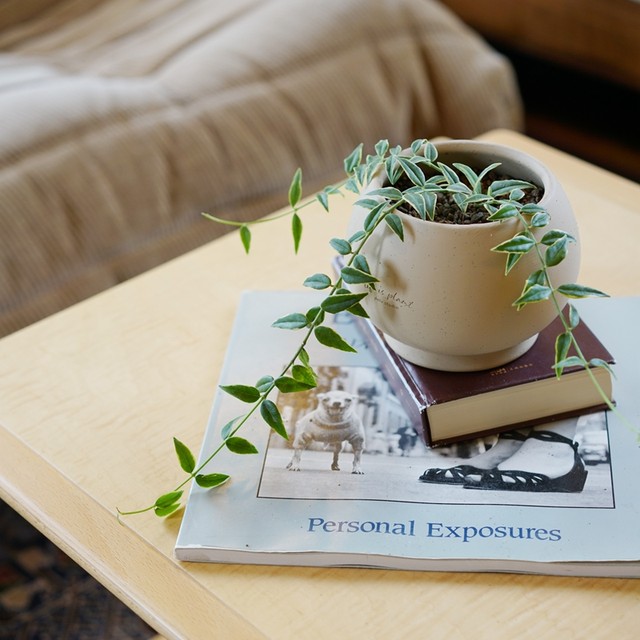 DOLV Bean Green Model Classic Flower Pot Nordic Style Parisian Painting School Home Gardening Clay Flower Pot Flower Set