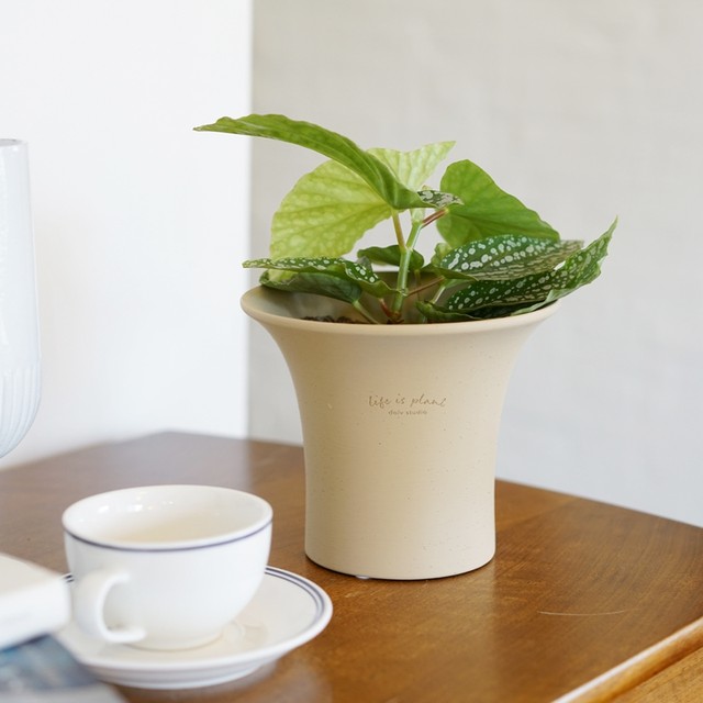 DOLV Dolv Classic Art Flower Pots Paris Painting School Home Gardening Clay Flower Pots