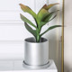 Straight matte gold silver cylindrical ceramic flower pot indoor and outdoor desktop flowers floor floral pot with tray