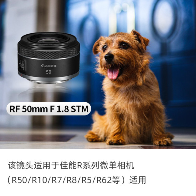 Canon RF50mmF1.8STM full-frame micro single portrait fixed-focus small spittoon lens suitable for R50/R62/R52