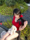 green big sister Korean model girl red v-neck breast pad tee round neck women's top summer