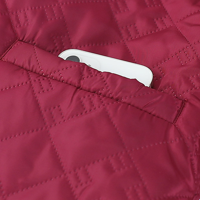 Winter clothes for middle-aged and elderly women, grandmothers with thin inner sleeves, 70-year-old and 80-year-old mothers, winter embroidered small cotton coats for outer wear