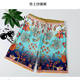 Women's 2023 new couple sexy beach dress style conservative belly-covering slim men's hot spring beach swimming