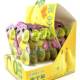 Feixiangjia Pear Fresh Pear Lollipop 84g (6g*14) Snacks