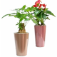 High bucket flower bucket simple pattern home floor-standing high-waisted orchid device self-absorbing water storage lazy pothos flower pot