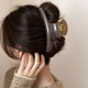 French high-end super large curved acrylic hairpin for women basic versatile hair clip ins wind shark clip
