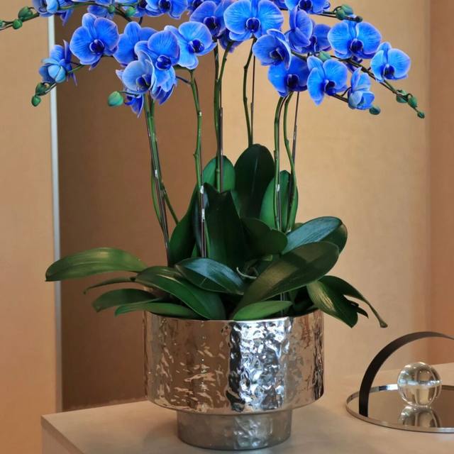 Foreign trade Light luxury Nordic Simple Bright Light Silver Net Red Creative Electro -Plated Ceramics Flower Basin Phalaenopsis Pot
