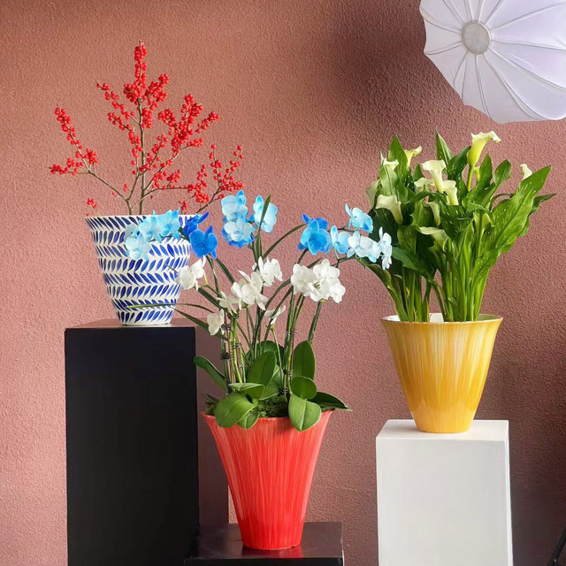 Simple flowerpot Cymbidium orchid Phalaenopsis Large diameter high-end flower pot plant potted tall bonsai Internet celebrity flower pot