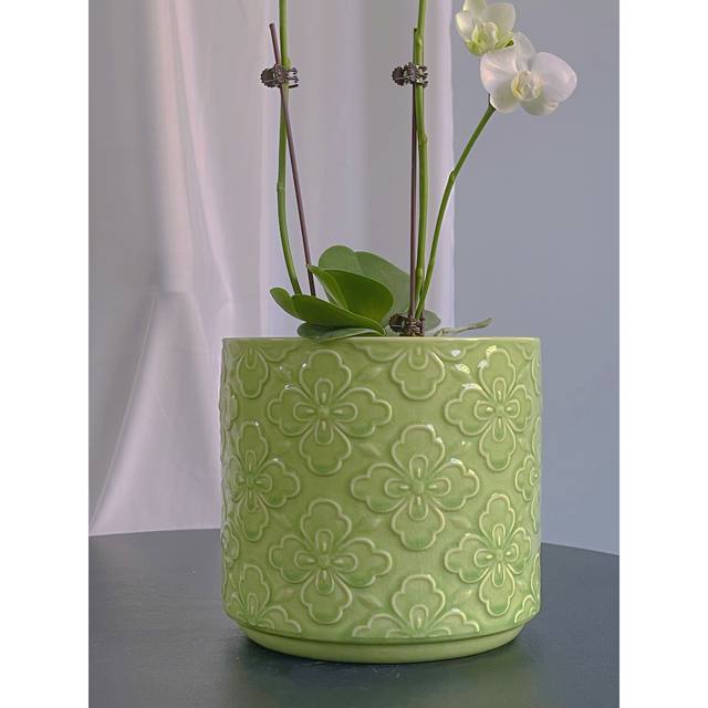 Export Nordic handmade flower pots, unique simple relief glazed ceramics, designer Phalaenopsis green flower pots