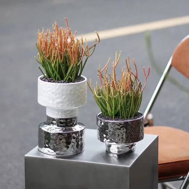 Foreign trade Light luxury Nordic Simple Bright Light Silver Net Red Creative Electro -Plated Ceramics Flower Basin Phalaenopsis Pot
