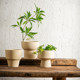 Clay quick-drying flower pots orchids and green plants, high-end breathing rough ceramics, creative simple and breathable home desktop flower pots