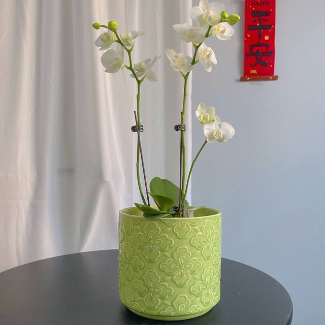 Export Nordic handmade flower pots, unique simple relief glazed ceramics, designer Phalaenopsis green flower pots