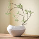 New Chinese-style ceramic flowerpot ornaments for the living room, simple earth-cultured flower pots, Wabi-sabi style, Song Dynasty aesthetics, Zen home decoration