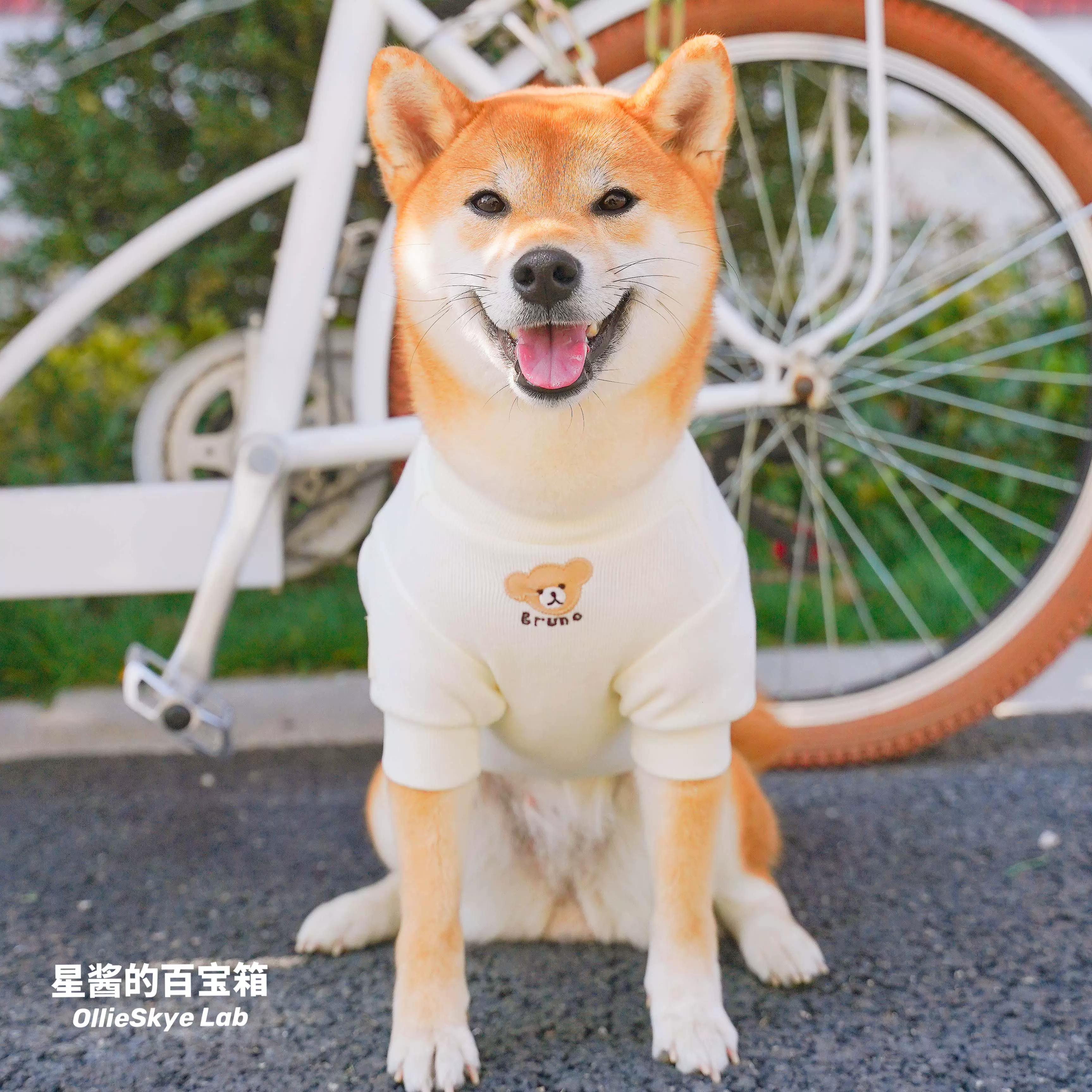 柴犬衣服春夏 新人首单立减十元 2021年10月 淘宝海外