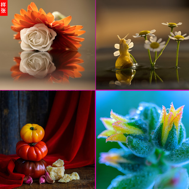 Nikon/Nikon Nickel Z micro distance 105mm f/2.8 vir s long -focal focus macro lens
