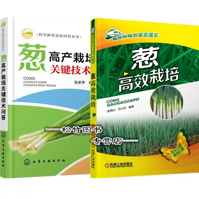 分葱种子 新人首单立减十元 21年11月 淘宝海外