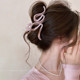 Autumn temperament ~ Niche design grabber clip for women 2025 new shark clip high-end hair clip large hair accessory