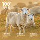 HLA/Heilan House light business casual V-neck sweater 24 autumn and winter new pure wool warm sweater for men