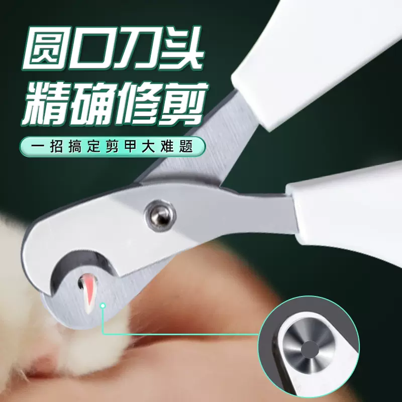 猫出血-新人首单立减十元-2021年11月淘宝海外