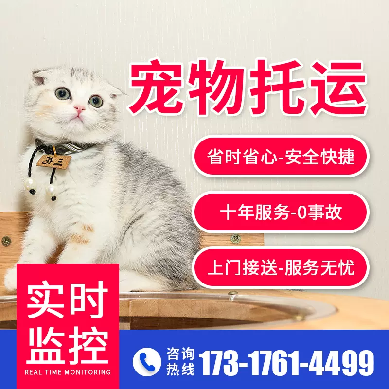宠物寄送 新人首单立减十元 2021年11月 淘宝海外