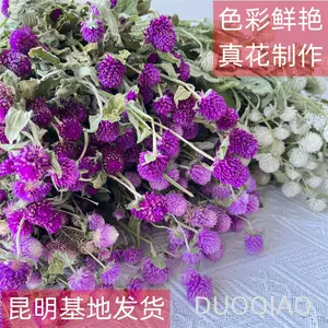 千日紅花束 新人首單立減十元 22年10月 淘寶海外