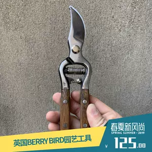 复古枝条 新人首单立减十元 22年6月 淘宝海外