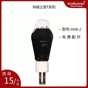 曙光電子管300b98 - Top 50件曙光電子管300b98 - 2023年11月更新- Taobao