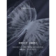 XWI Xinwei Gradient Butterfly Printed Pattern Short Sleeve T-shirt Women's Summer Commuter Versatile Top

